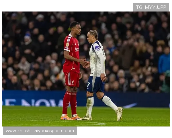 英超热刺队现役球员名单及关键数据解读